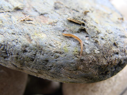 dsc00689.jpg